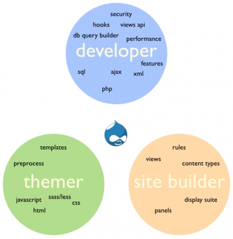 What is a drupal developer?
