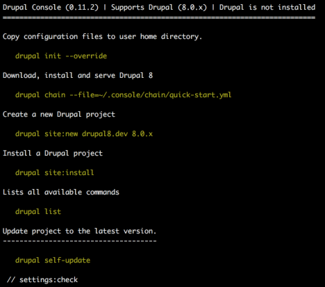 Run the Drupal Console